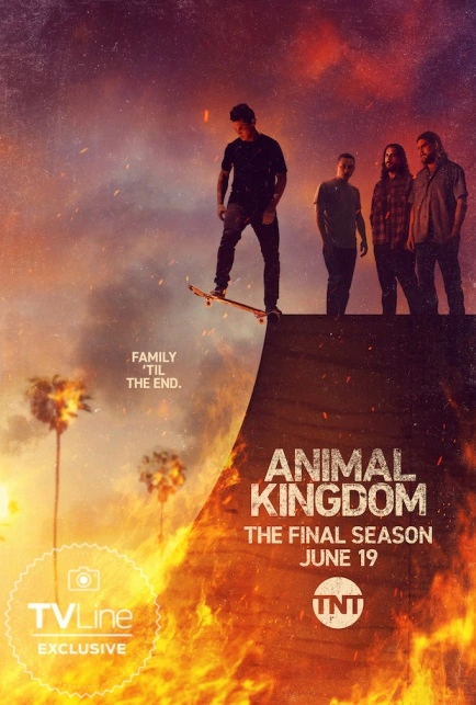 The official poster of Animal Kingdom Season 6 